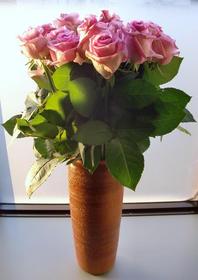 関根歯科医院の今週のお花。ピンクの大輪が美しい『リバイバル』